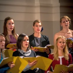 Chorzert 2014